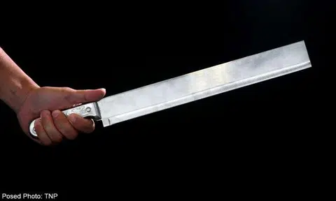 Man threatened elderly father with cleaver, stole security guard's mobile phone