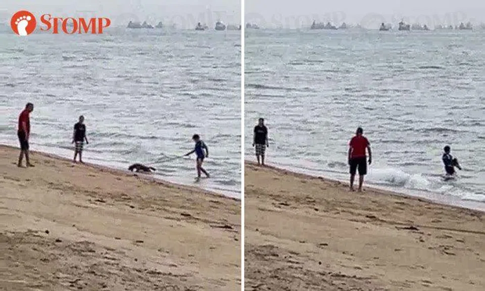 SPCA looking to identify boy who forced dog into water at East Coast Park