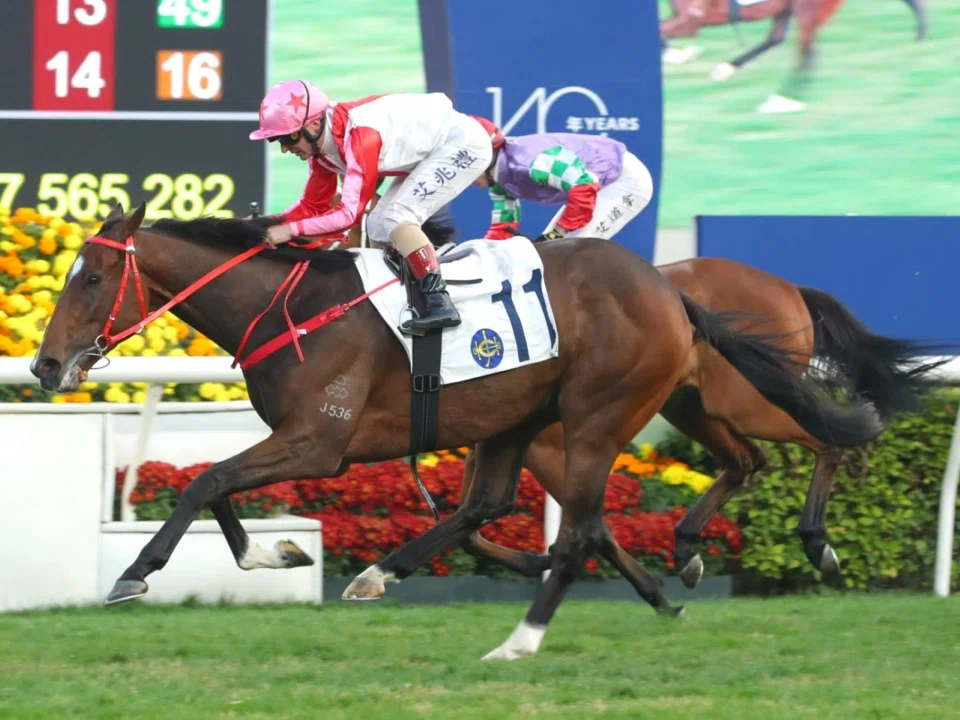 Noisy Boy (Andrea Atzeni) opening his account in the Class 2 Able Friend Handicap (2,000m) at Happy Valley on Jan 19. The two-time winner will line up in the BMW Hong Kong Derby (2,000m) at Sha Tin on March 23.
