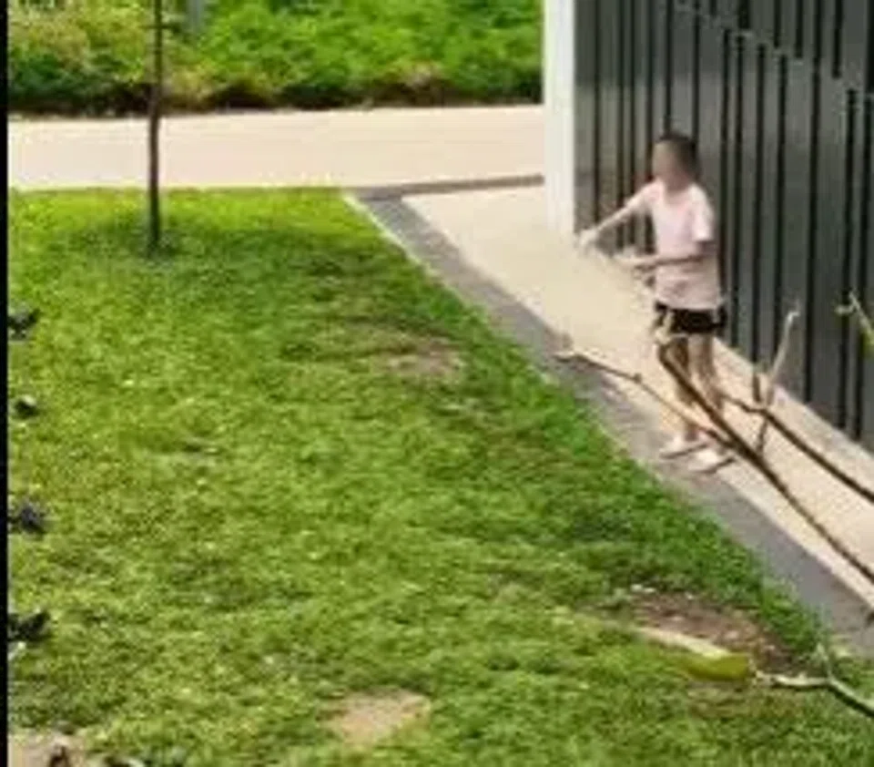A video shared on Reddit shows the woman openly feeding a flock of pigeons.