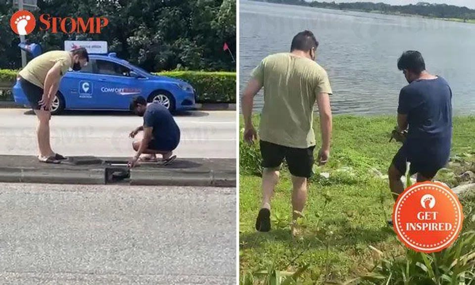 Strangers work together to rescue turtle stranded in middle of road near Yishun Dam