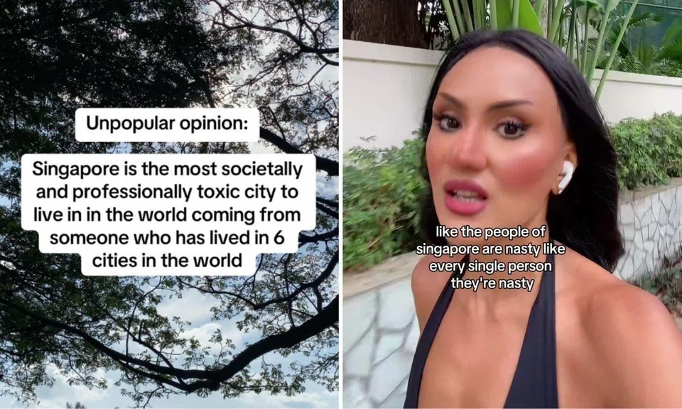foreigner says singapore is toxic