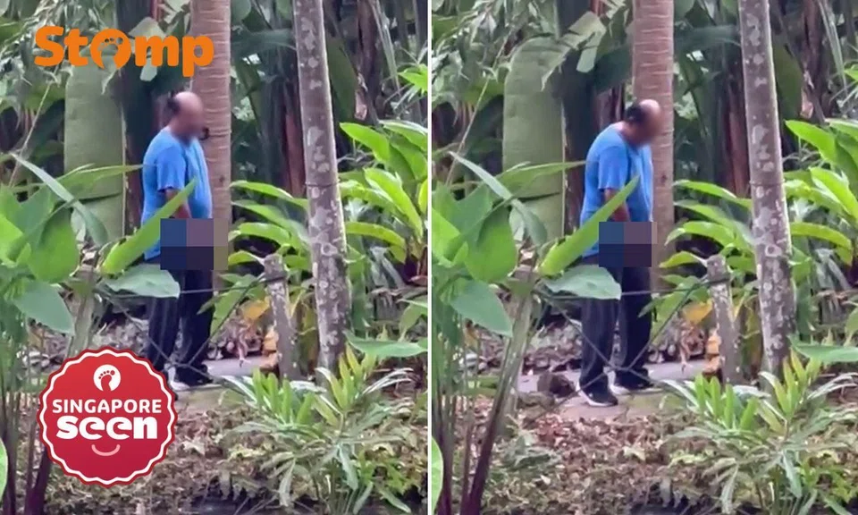Lewd act in Singapore Botanic Gardens