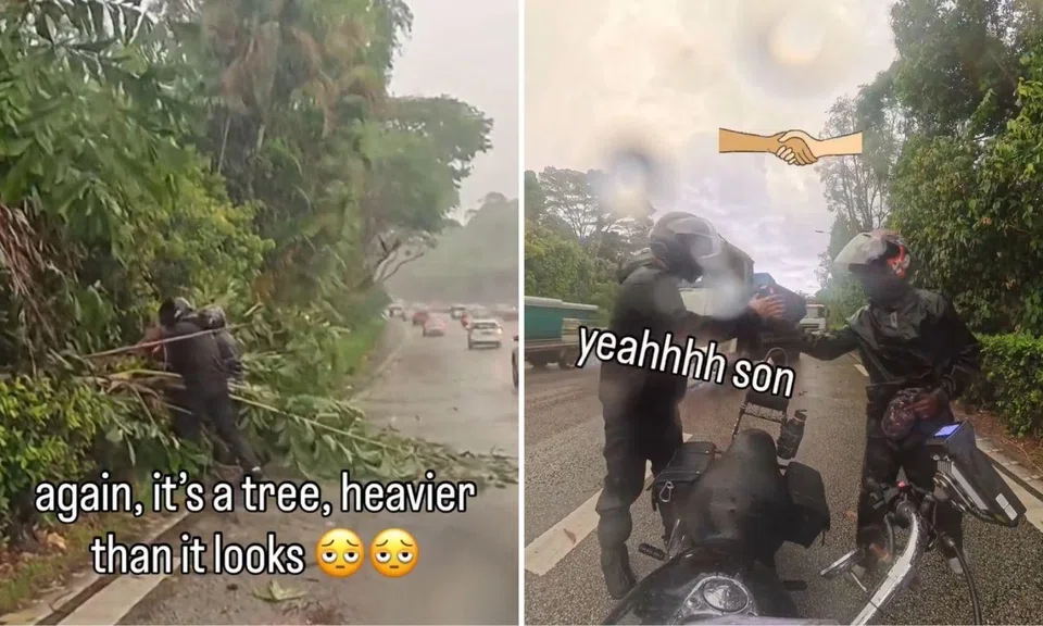 two men pushing a fallen tree, sharing a handshake afterwards