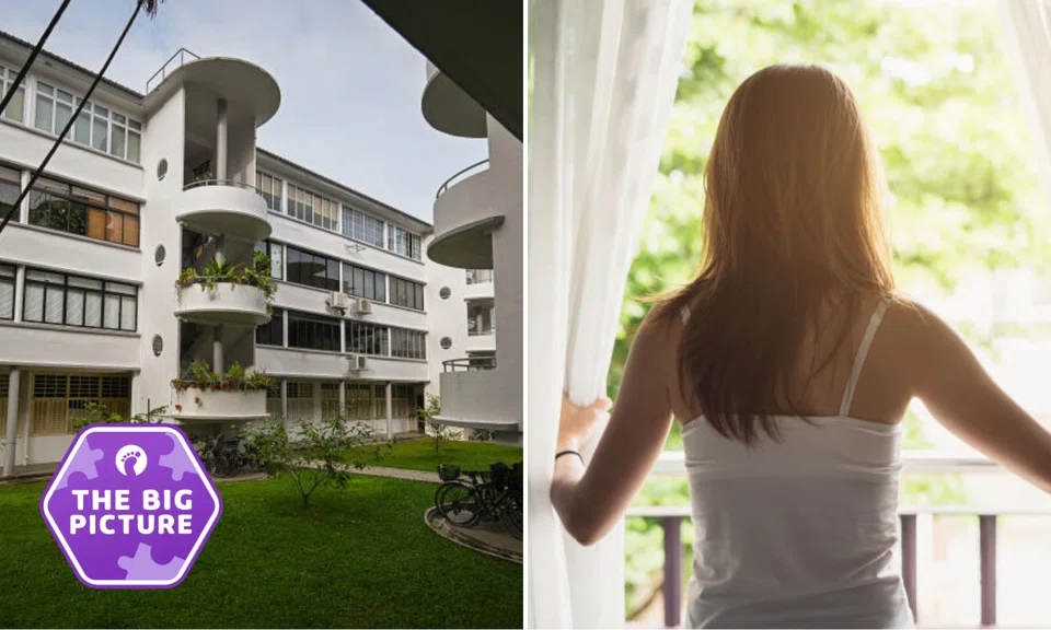 Singles are prioritising affordability as their main consideration, and BTO flats remain the most financially viable route into homeownership.