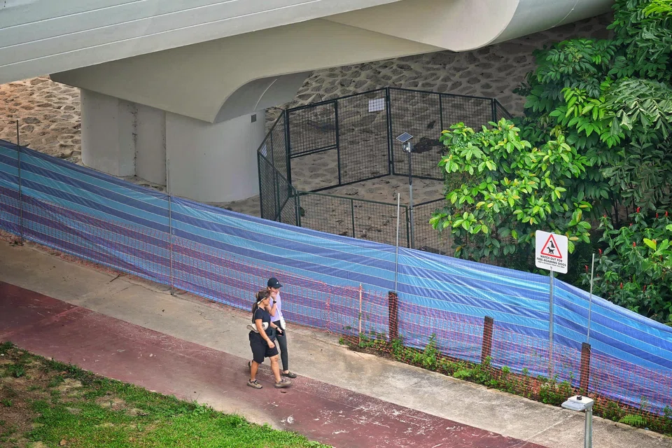 The tarp was never meant to act as an enclosure, but a visual barrier, said Dr Lin Anhui, director for Community Animal Management Operations at AVS.