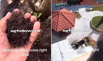 Person throws soil at construction workers over 'noisy work', netizens call act 'disrespectful and dangerous'