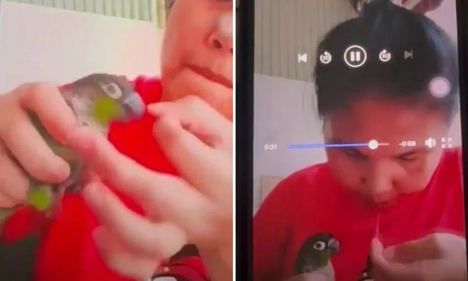Parrot Society Singapore: "These are all dangerous and abusive acts to the bird and we would like to retrieve the bird from her."