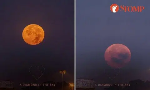 Stomper shared the video on Facebook on March 28.