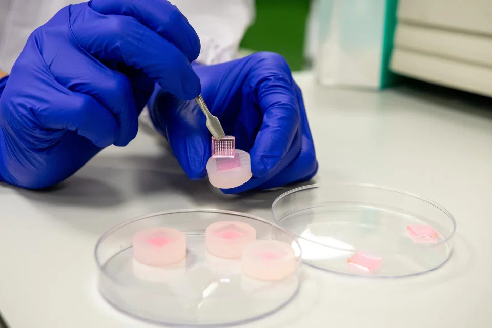 Moulds are used to produce sponge-like microneedles which can be used in the sustained delivery of medicine to help diabetic wounds to heal.