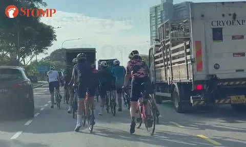Vehicles slow down to pass large group of cyclists at Jalan Anak Bukit Flyover: 'Fine them all'