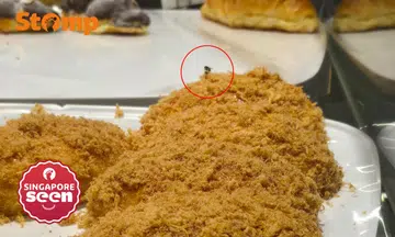 insect on bun at breadtalk