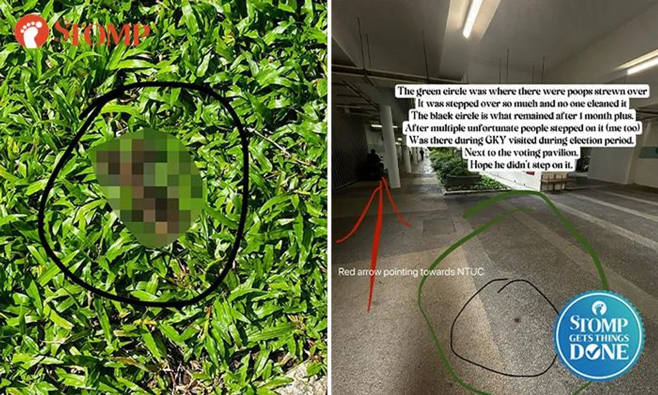 The instances of dog poo being left around Punggol Point Woods are finally decreasing. 
