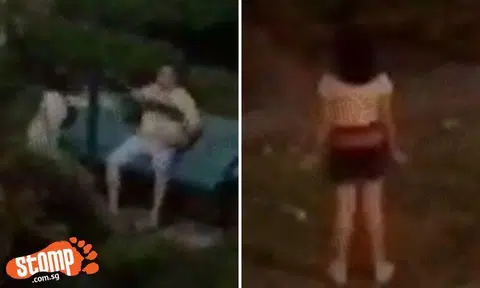 Woman and man yell at one another at Bukit Batok park until young girl intervenes -- by shouting even louder