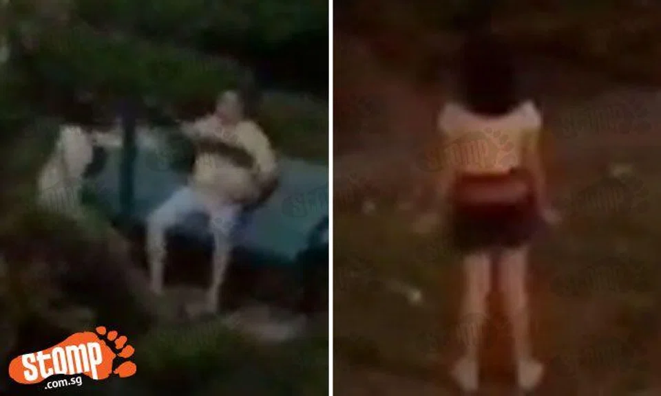 Woman and man yell at one another at Bukit Batok park until young girl intervenes -- by shouting even louder