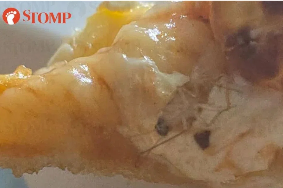 A seven-year-old girl found a cockroach in her pizza.