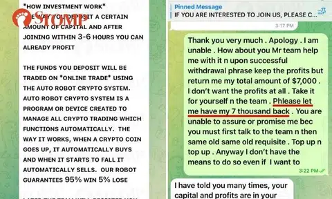 'Stupidly naive' woman falls for Telegram scam, pleads for return of her $7,000 but ends up transferring another $3,000