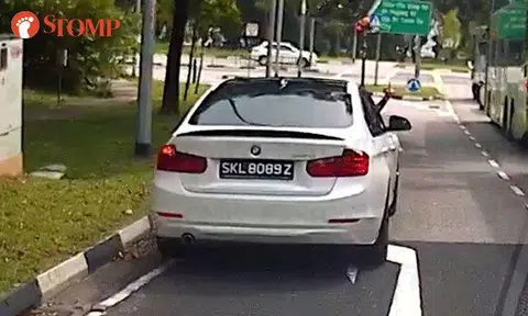 BMW driver who gave the finger responds: "Lorry driver cut in front and hurled vulgarities at me"