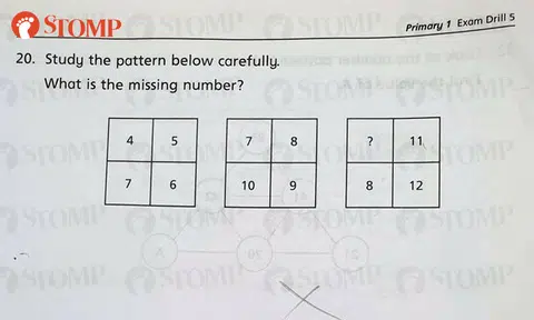 Can you solve this Primary 1 Math question?