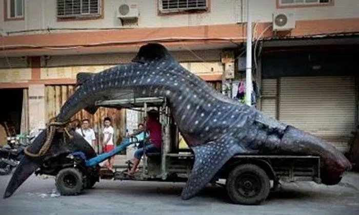 Disturbing photos that prove the Earth is one really freaky place | STOMP