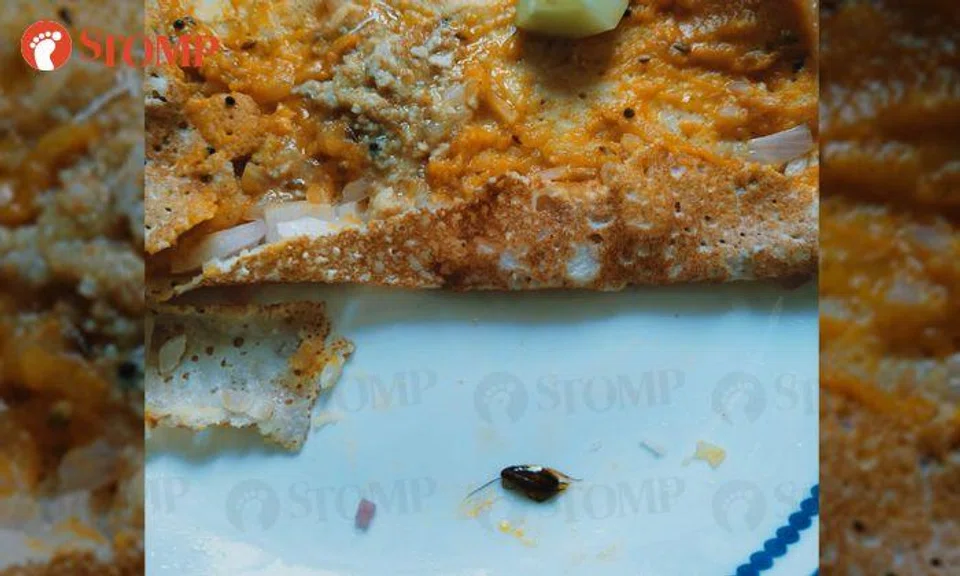 Diner feels like vomiting every time he recalls finding cockroach in dosa from Punggol stall