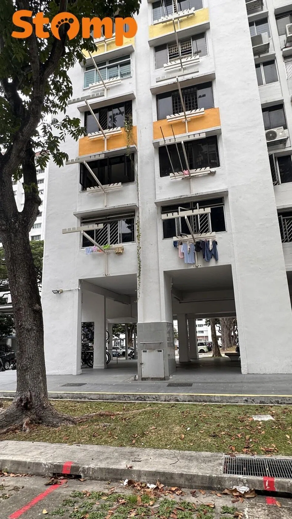 Eunos overgrown plant pruned by town council