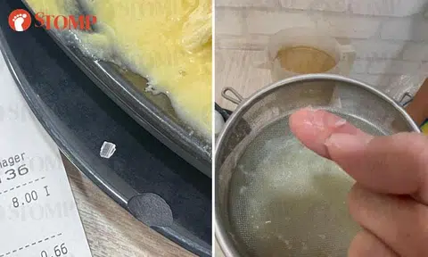 Diners swallow 'crushed ice' that turned out to be plastic shards in durian dessert, SFA looking into case