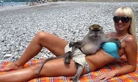 You haven't seen weird till you check out these bizarre photos from around the world