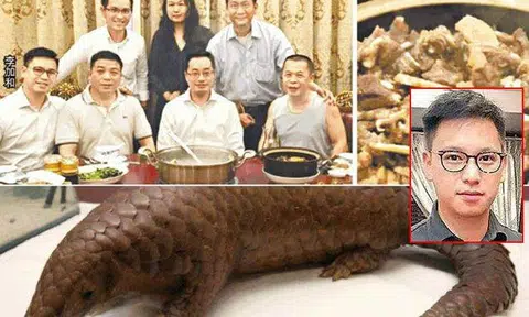 Pangolin dinner attendees identified: HK businessman says 'it tasted great' 