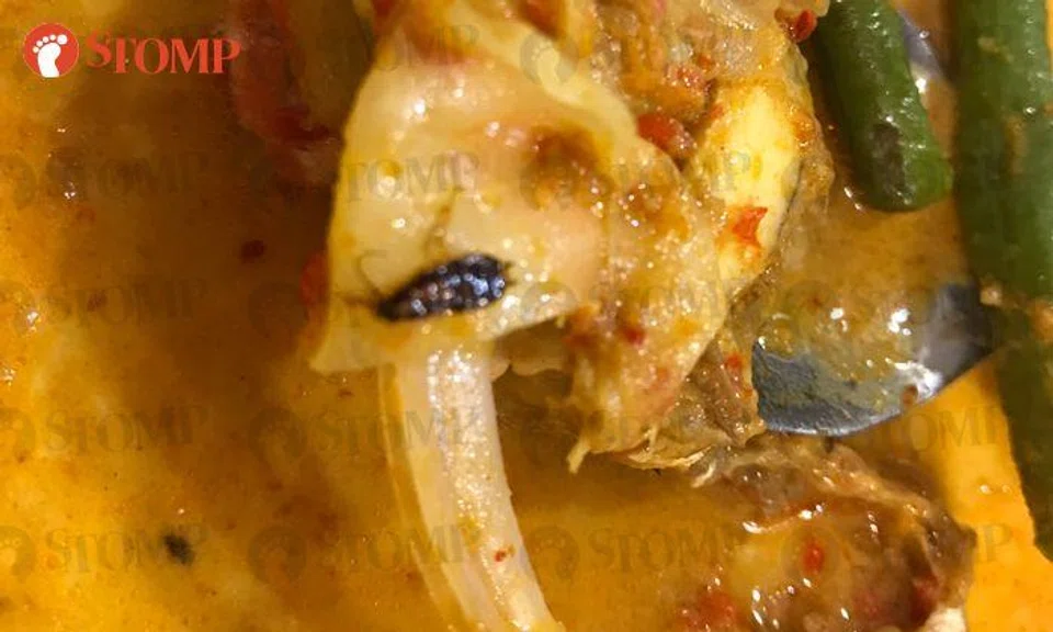 West Co’z Cafe investigating incident of cockroach nymph found in diner's fish head curry