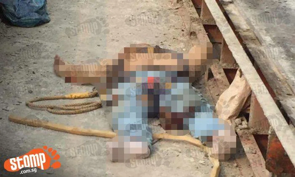 33-year-old worker from China dies after falling over edge of building at Woodlands Close worksite