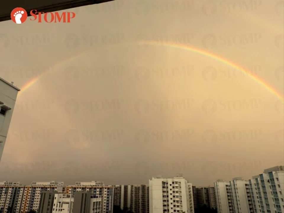 stomp rainbow