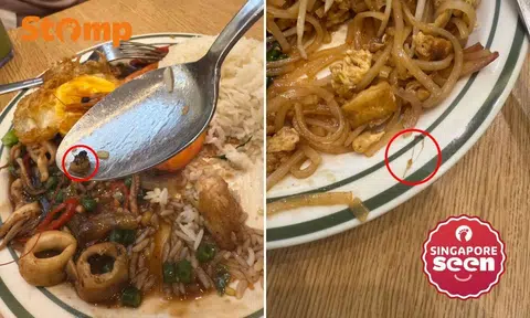 Diner finds insect in food at Thai restaurant, gets it replaced and finds hair in replacement dish