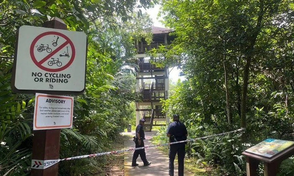 Two paths leading to the bird-watching tower were cordoned off when The Straits Times reached the park at around 12.40pm. ST PHOTO: NADINE CHUA