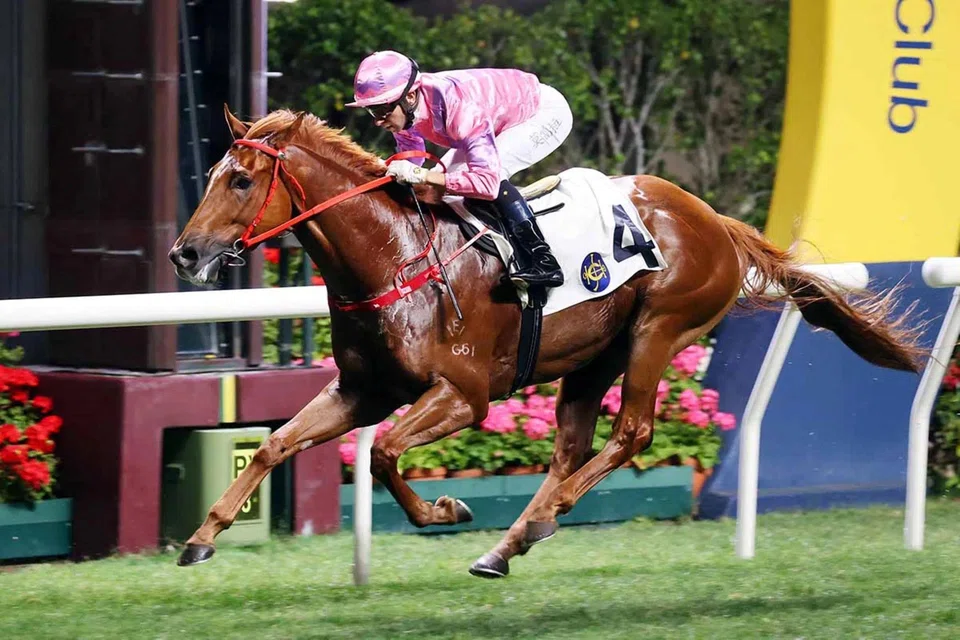 Eason (Joao Moreira) winning the Class 3 Bowrington Handicap (1,200m) at Happy Valley on April 13, 2022. He will be ridden by Hugh Bowman in the Class 3 New Lantao Bus Handicap (1,200m) on March 5.