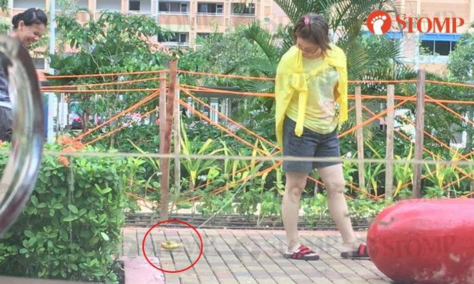 Most people walk their dogs -- but this woman drags her bird along with leash