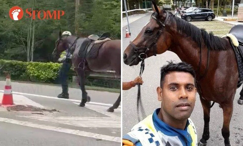 Stomper Sam shared a 16-second video showing SGT (APF) Uva walking with the horse on the road.