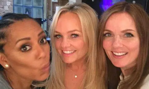 Sorry fans: The Spice Girls reunion is off after Geri Horner pulls out due to pregnancy