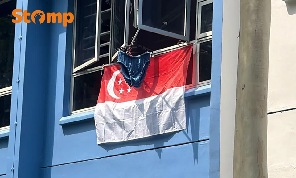 Underwear and carpets seen hanging over Singapore flag
