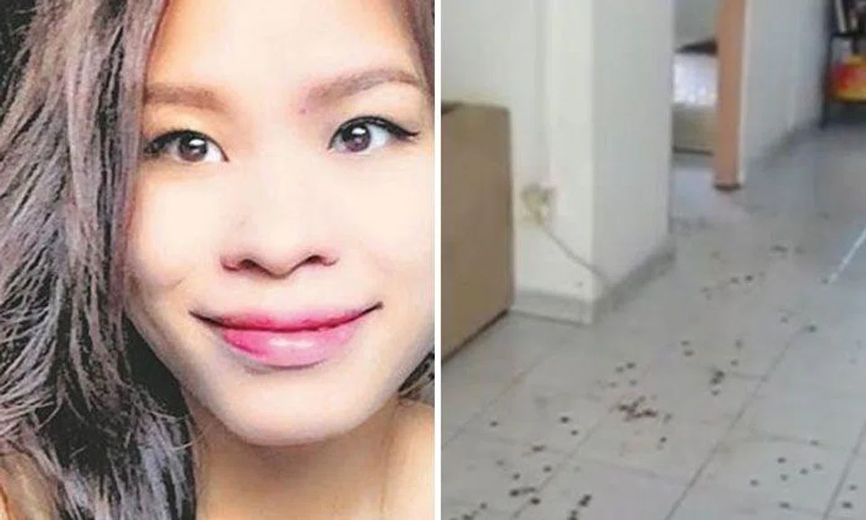 Marsiling Lane double deaths: Jaded lover had struck fatal blow on victim's head with dumbbell