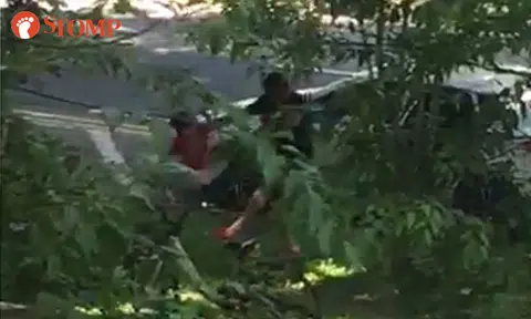 Police investigating case of man repeatedly pulling child from car and throwing him to the ground