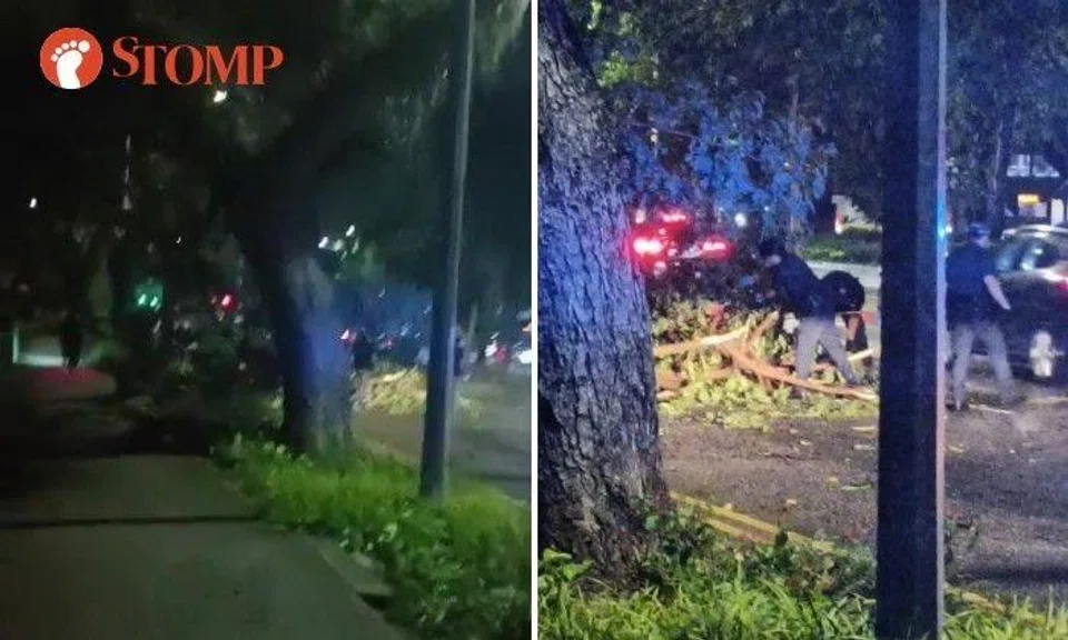 Stomper A shared a video of police removing a fallen tree at Bedok South Avenue 1 at around 9.20pm.