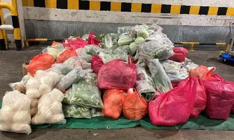 SFA’s investigations found that the company illegally imported over 760kg of undeclared and under-declared fresh and processed fruits and vegetables imported from Malaysia.