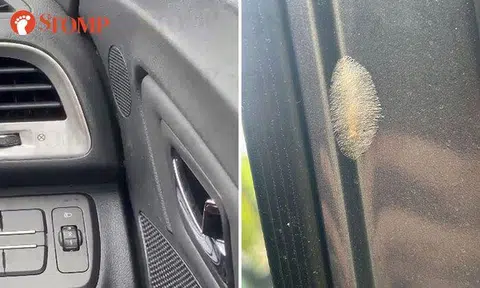 GetGo compensates user after he finds ants and other insects inside car at Bedok Reservoir