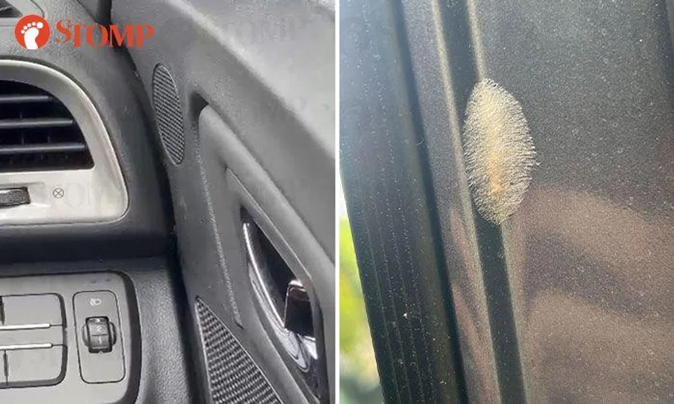 GetGo compensates user after he finds ants and other insects inside car at Bedok Reservoir