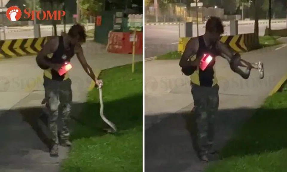 Python coils itself around man's arm after he picks it up with bare hands in Woodlands