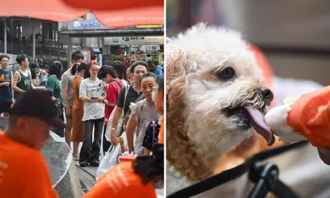 Free ice cream near Clementi Mall draws long queue of young and old -- and dogs