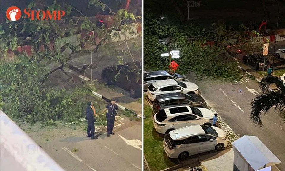 Tree falls at Crawford Lane carpark, police spotted at scene