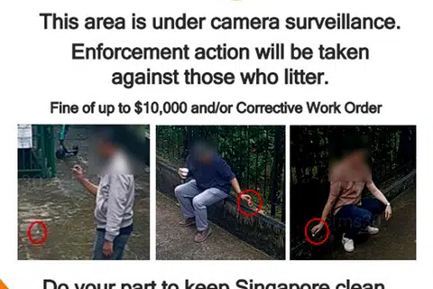 Posters of repeat litterbugs put up in Chinatown