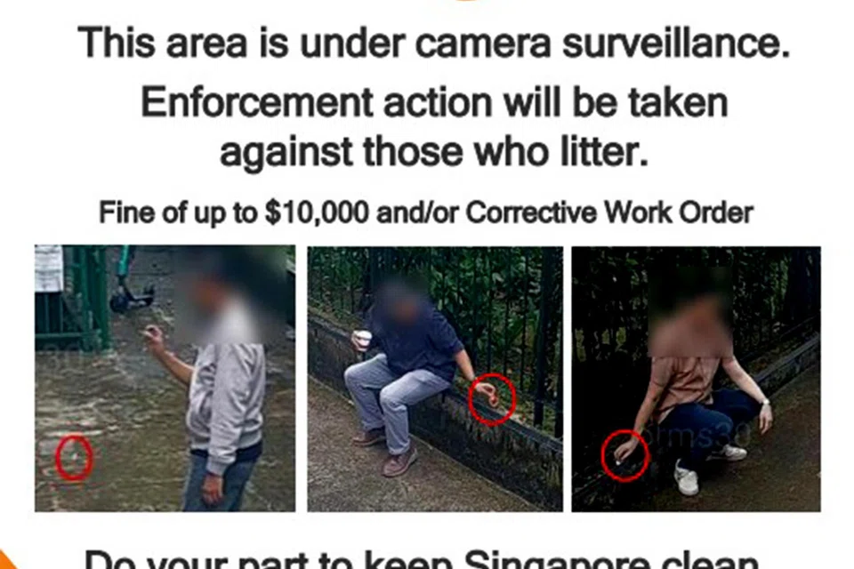 A sample poster with pictures of litterbugs. 